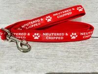 Neutered & Chipped Dog Lead 1