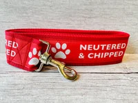 Neutered & Chipped Dog Lead 2