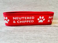 Neutered & Chipped Dog Lead 3