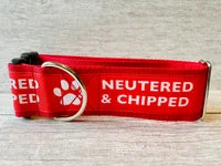Neutered & Chipped Dog Lead 4