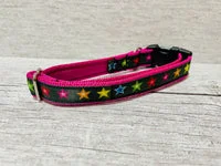 Black with Coloured Stars Dog Collar 2