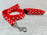 Red with white Spots Dots Dog Collar 3