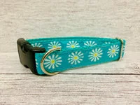 Single Daisy Print Dog Collar 2