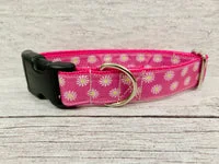 Multi Daisy Print Dog Collar 2