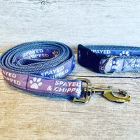 Spayed and Chipped Alert Dog Collar 8