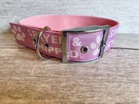 Spayed and Chipped Alert Dog Collar 2
